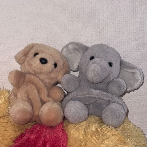 GW終わっちゃった😞
皆は学校？お仕事？それともお休みかな？それぞれがんばろうねー！