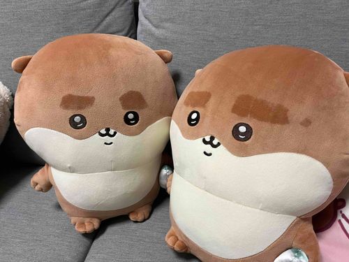 カワウソの双子 かわちゃんとうーちゃん💧　
大きいよ