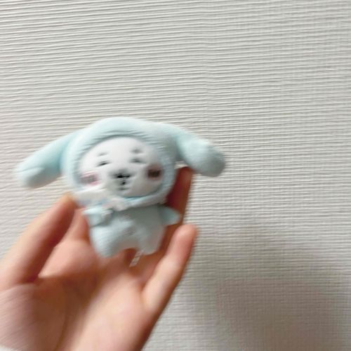 ﾌﾞｫﾝ