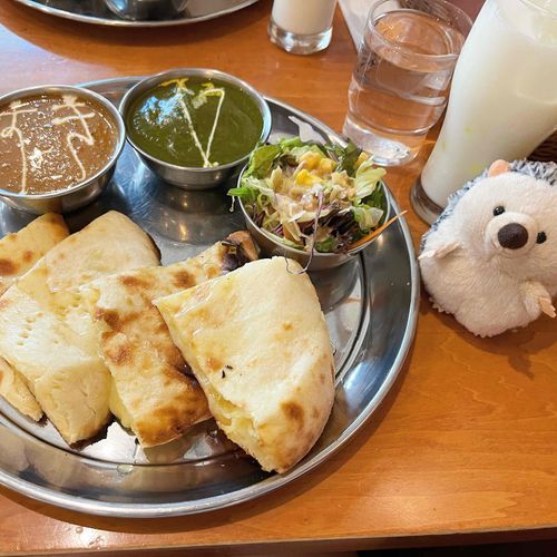 これカレーっていうんだって
かいぬしおなかぱんぱんになってたよ