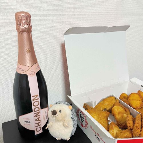 クリスマスいぶいぶ…だって！わぁーい！