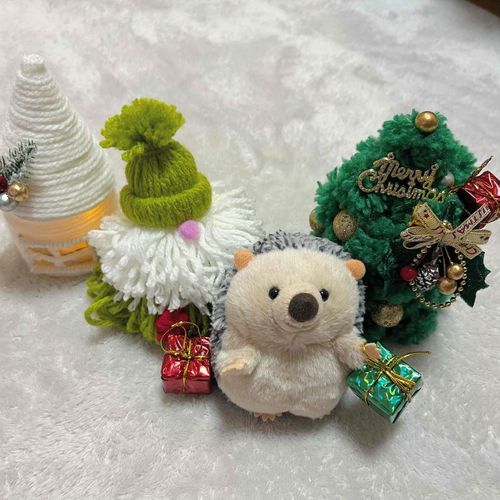 サンタさんくるかなぁ…
ウニいい子にしてるの！！