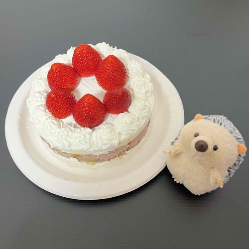 手作りクリスマスケーキ！
いちごおっきいね！