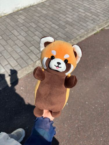 僕の名前はタヌくんです。