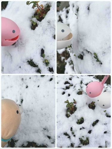 ゆきゆきー！！！
ちょっと食べたいな〜👀