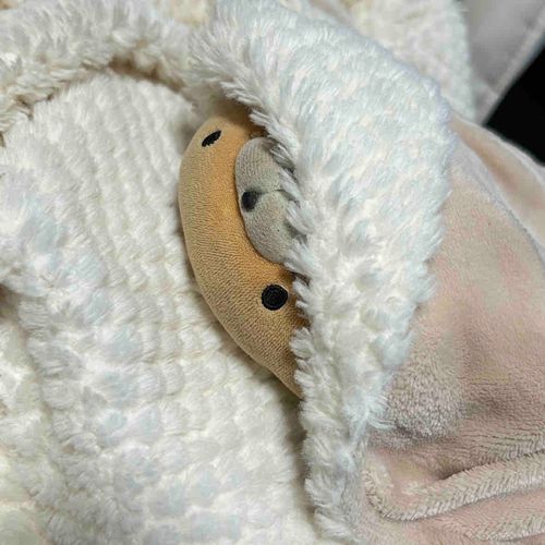 ずっと布団で温まりたいにゃ〜…