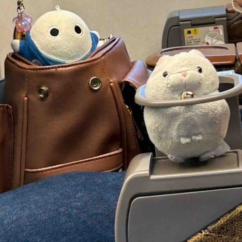 新幹線うきうきわくわく🎶💕