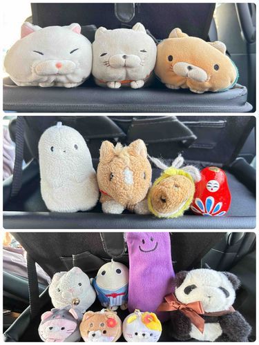お出かけ前に記念撮影！！
🐈⇨まだ眠たいにゃ〜
🍆🐼🐴🐭⇨早く起きて！！行くよ！行くよ！