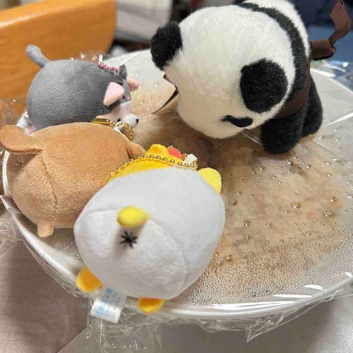 夕飯前の様子…
🐼炊き込みご飯待ちきれないよ〜！！
早く食べよ！！食べよ！！
