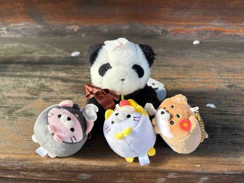 お花見🌸💕
花びら可愛いねー！！