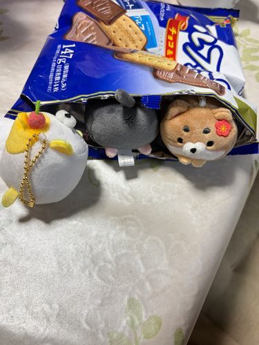 アルフォートの家❤️
