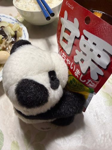 🐼甘栗、はまっちゃいました