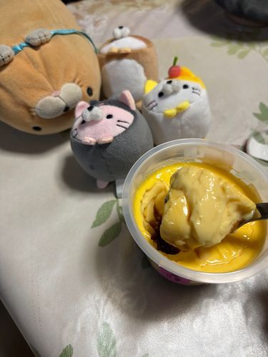 とろけるプリン食べてとろけたよ~🤤