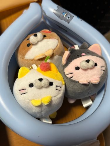 涼しいよーー🧊
(飼い主のクールネックリング…)