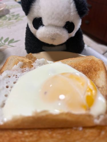 食パンパン！！♡
(飼い主:焼きすぎた…😅)