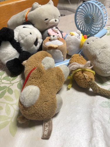 毎日暑いねー…☀️😖☀️