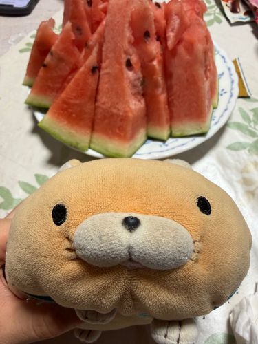 そしてスイカにゃ🍉♡
