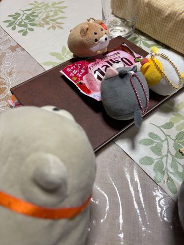 何を話し合ってるのかにゃ~…