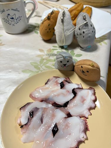 アザラシ族は魚に夢中…
🦭あの部分美味しいんよね
🦭わかるわ〜
〜…