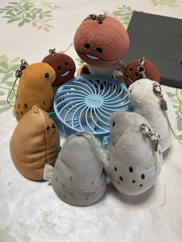 夏休みどこ行く？
海行きたいな〜
山行きたいな〜