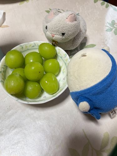 マスカット！！！大好き❤