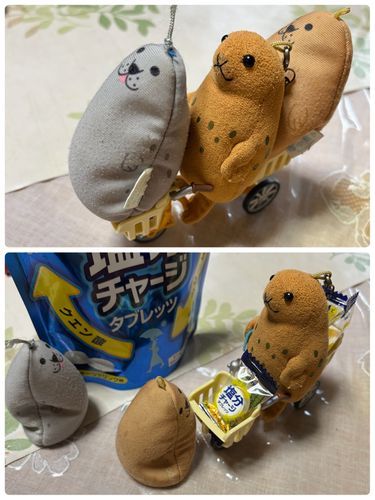 塩分チャージ買いに行ったよ！！
熱中症防止👍