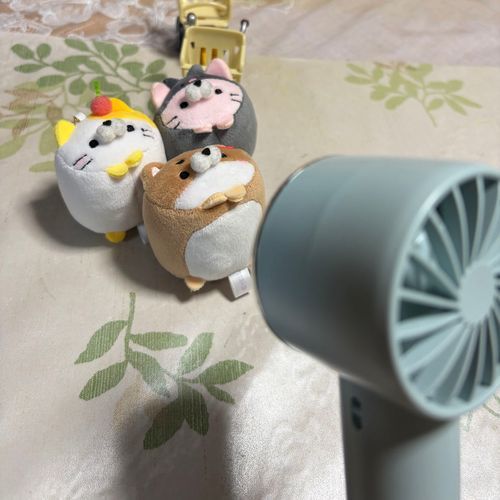 はぁ~涼しい~!!!