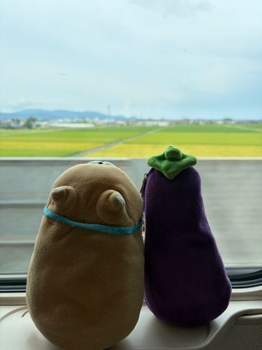 いい景色だな〜