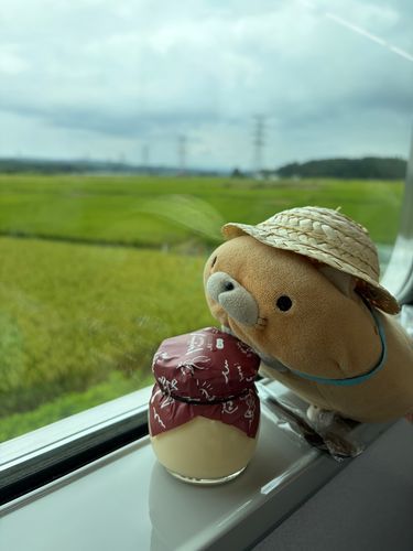 景色とグルメ満喫にや~