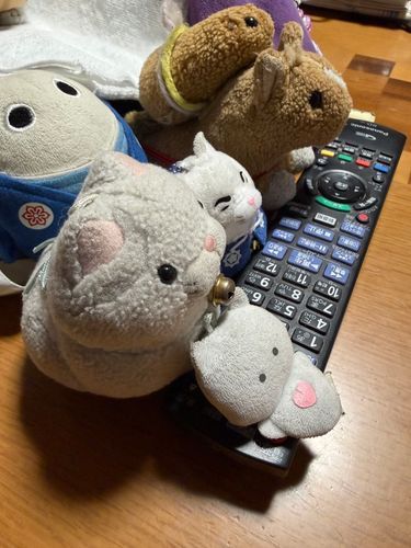 8番出口に夢中…
怖いけど、観ちゃうな…