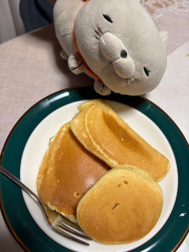 久しぶりにホットケーキ作ってもらったにゃ😸