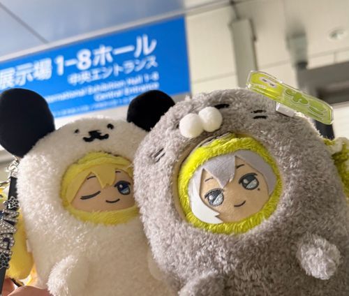 \ ‼️ﾇｯ