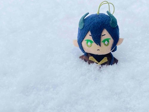 雪だよ