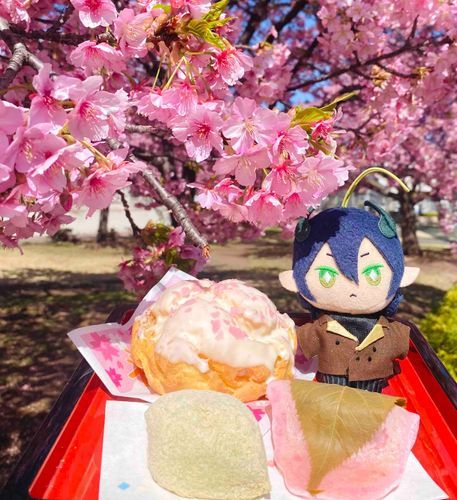 春色いっぱい🩷💚