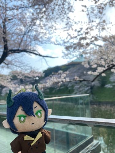 お花見シーズン