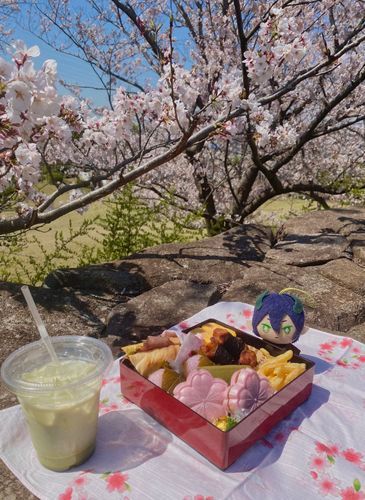お花見弁当🍱何入れる？