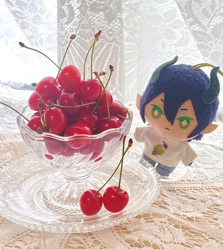 さくらんぼの実る頃🍒