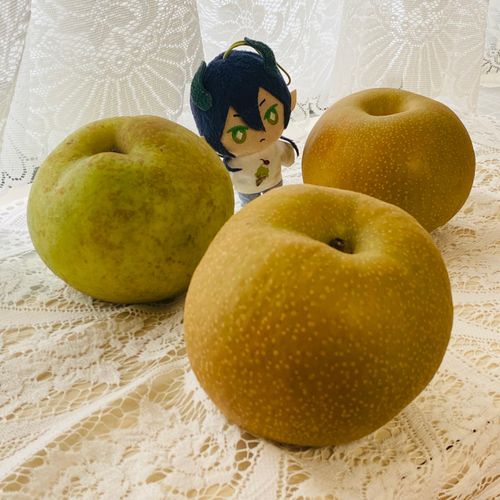 梨の実は秋の香り
