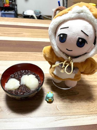 「かがみびらき」したの！
やっと、「たつさん」と「ごたいめん」なの！
ずっとあそびたかったの！
いっしょに「おしるこ」たべようねぇ❣️