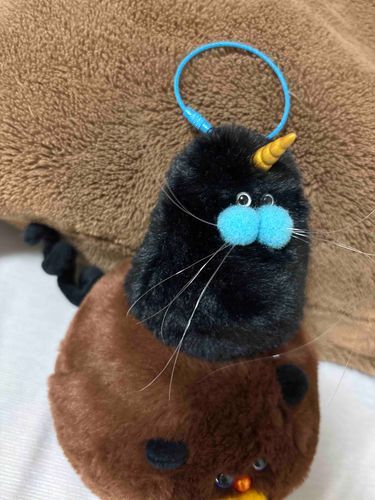 アザラシ…一角獣…？