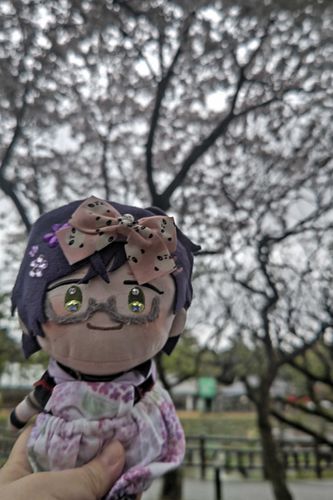 ふわもこはじめました、わんぱくにゆきです。
なかようしてね。
今日は雨やったけど主はんとおでかけしたよ。