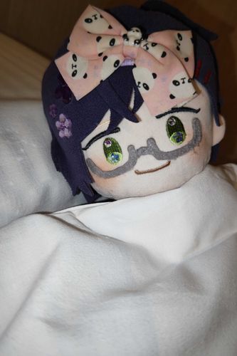 あのね、お船で一緒におでかけしたの。
ちょっと揺れたけど、わんぱくちゃんお船大好きやから、とっても楽しかったよ。
寝る前に主はんとお話したよ。