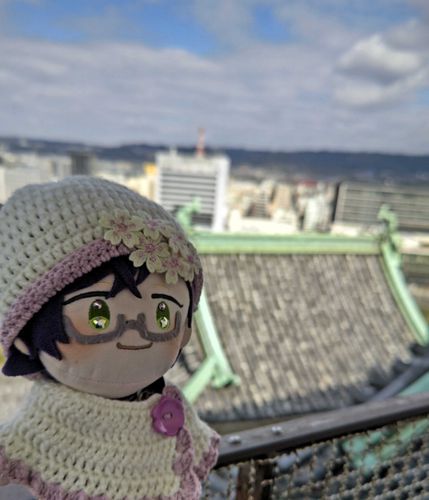 これはねぇ、先月ねぇ、主はんと舞台見に行った次の日にねぇ、和歌山城に行ったんよ。