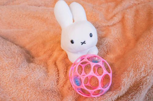 したのこちゃんの おきにいりの おもちゃなんだって！