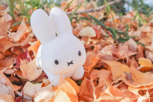 あきも おしまいだね