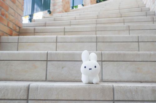 おさんぽに いったんだって！