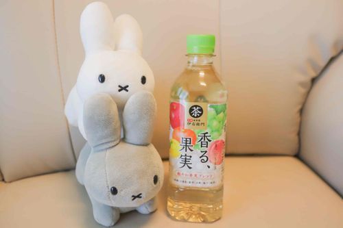 ぱけがい したんだって！