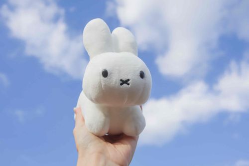 はつゆきが ふったんだって！