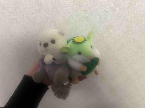最近の仲良し達