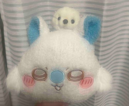 激かわポシェットにらっこちゃん入れたかわいいの渋滞や^ᴗ.ᴗ^♩